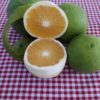 Laranja Bahia - 1Kg
